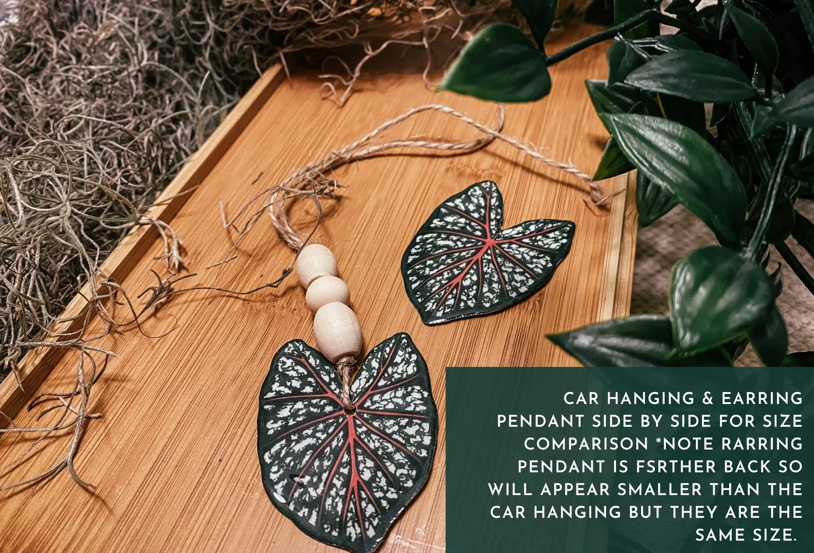 Caladium Leaf Mismatch Leaf: Earring, Magnet, Pin, Decor