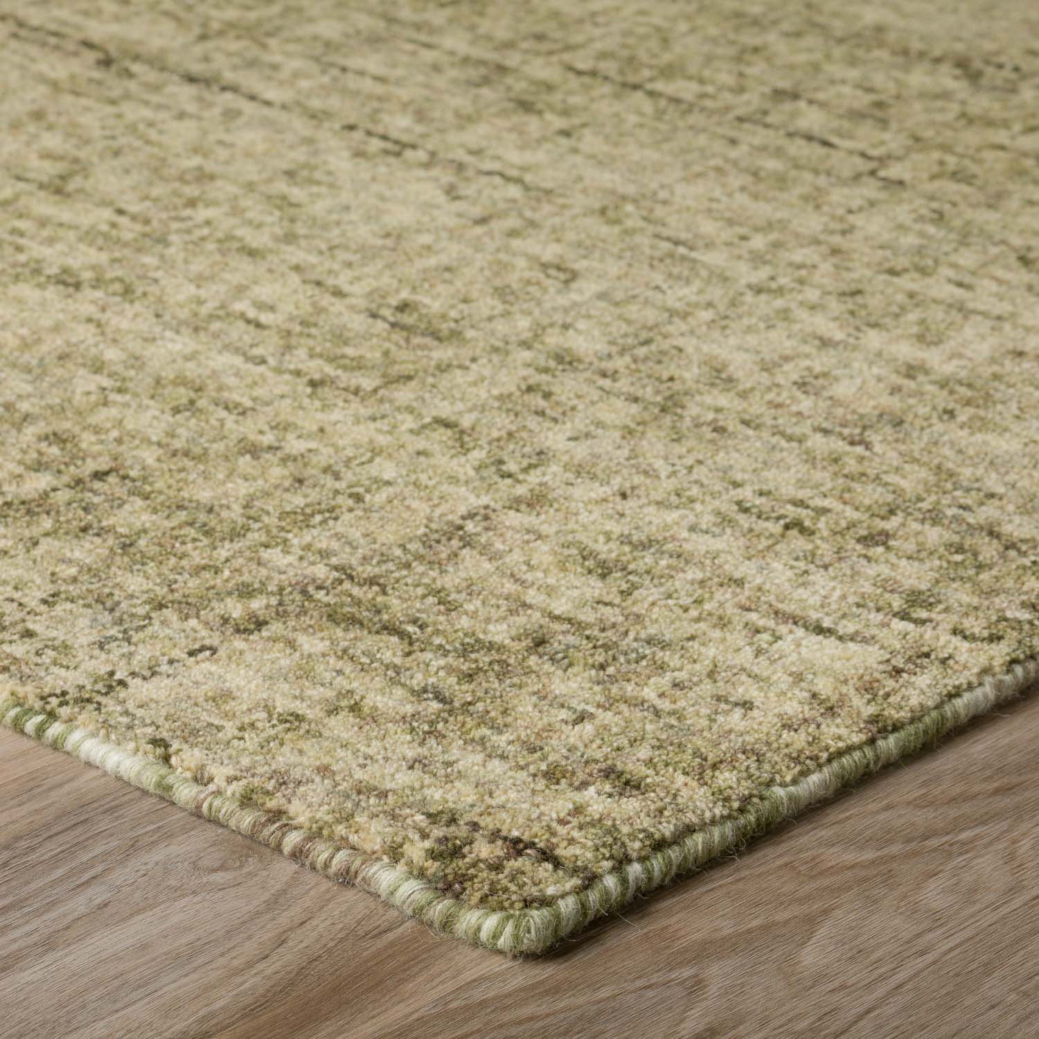 Calisa Rug Basil 5' X 7'6" by Homeportonline