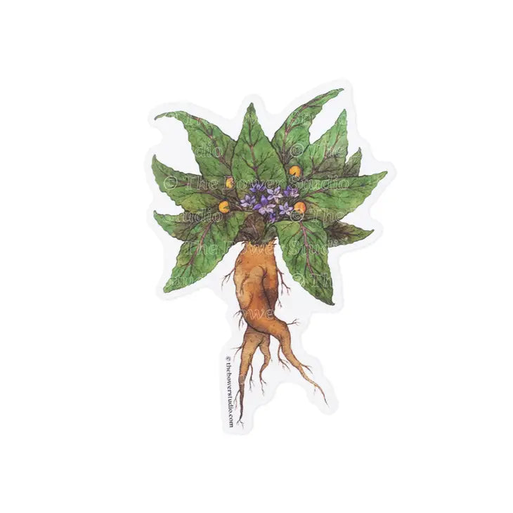 Eco-Sticker by Wild Lark