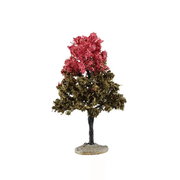 Black Tupelo Tree - 6 Inch