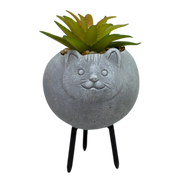 Faux Light Green Succulent In Planter - Cat