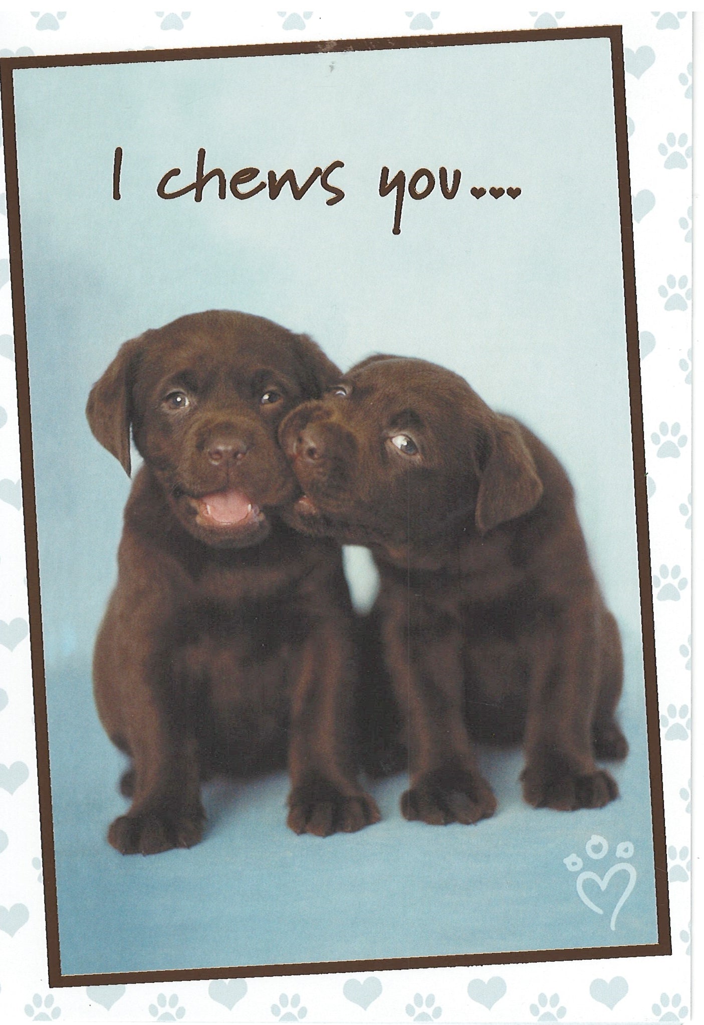 I Chews You   - Anniversary Card