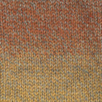 Plymouth Encore Colorspun by Must Love Yarn