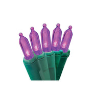 Purple LED String Lights - 100 Light - Green Wire