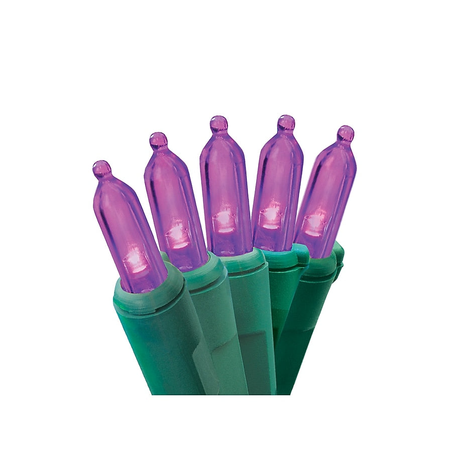 Purple LED String Lights - 100 Light - Green Wire