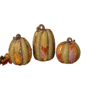 Harvest Pumpkin -