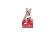 French Bulldog with Bone Ornament