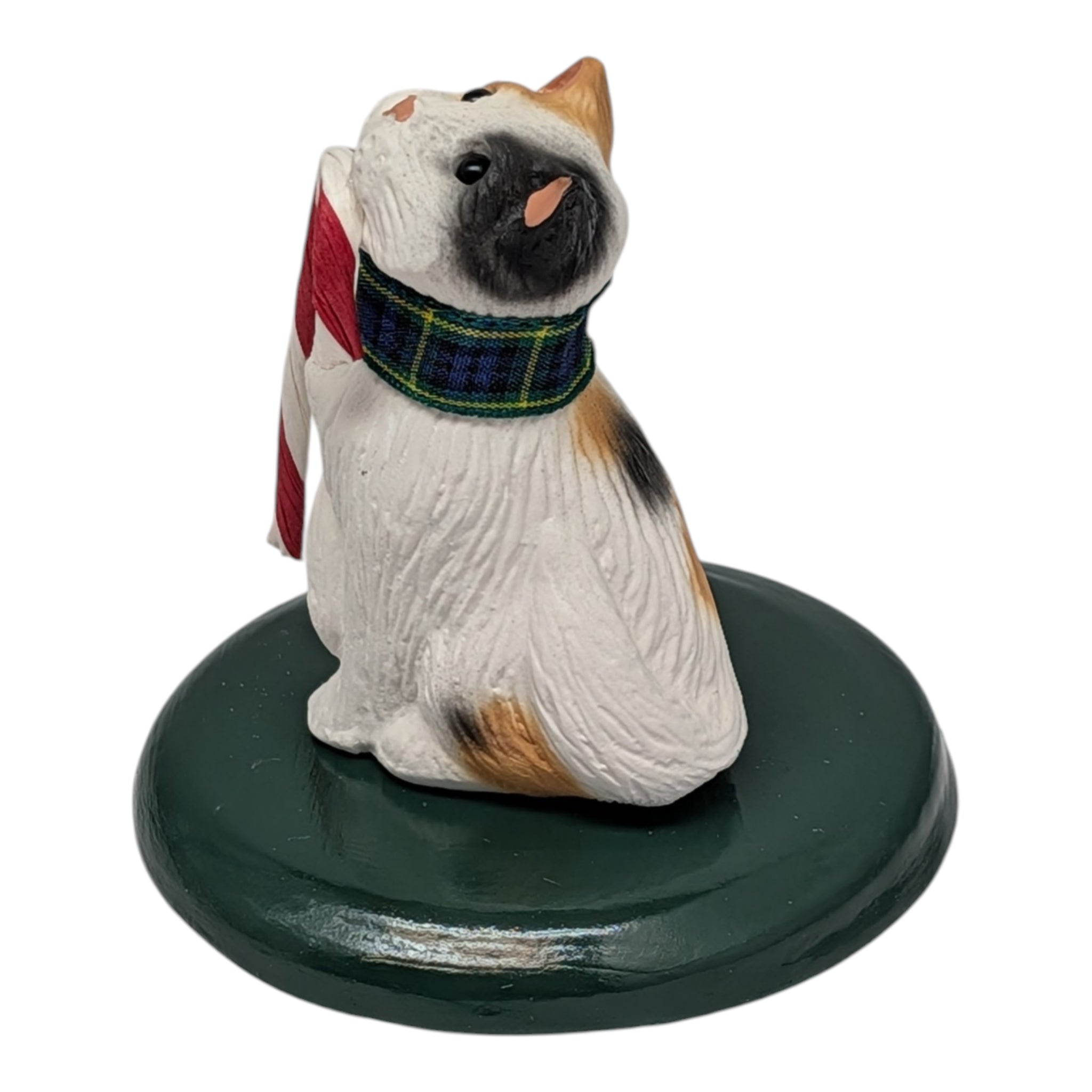 Singing Cat - Calico