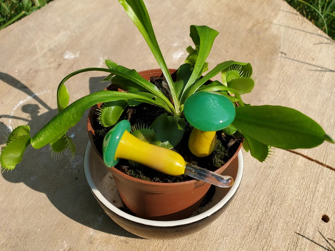 Mushroom Glass Plant Spike