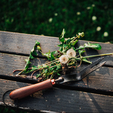 Barebones Weeding Fork