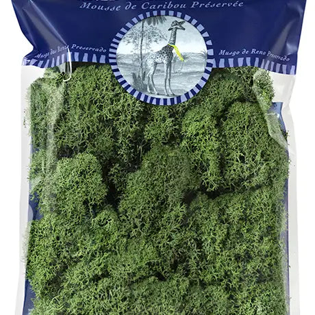 Sale!Reindeer Moss Preserved 2oz Bags