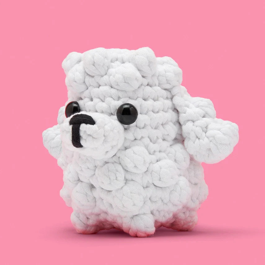 Beginner Crochet Kit