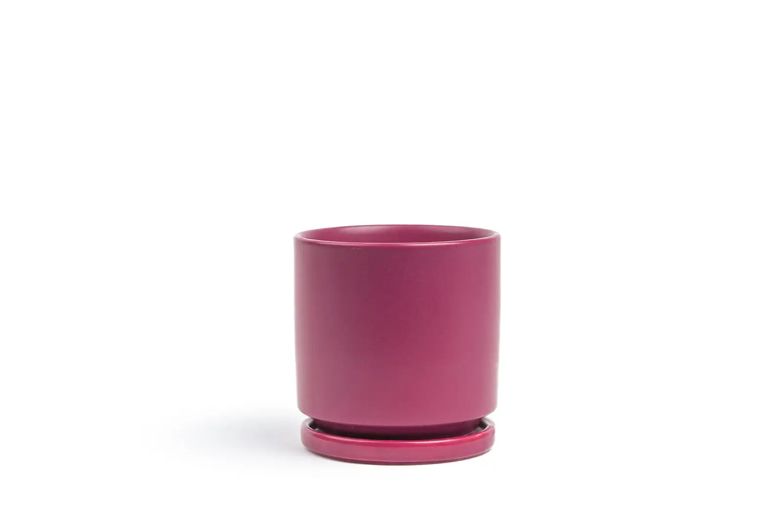 4.5" Gemstone Pot - with Water Saucer