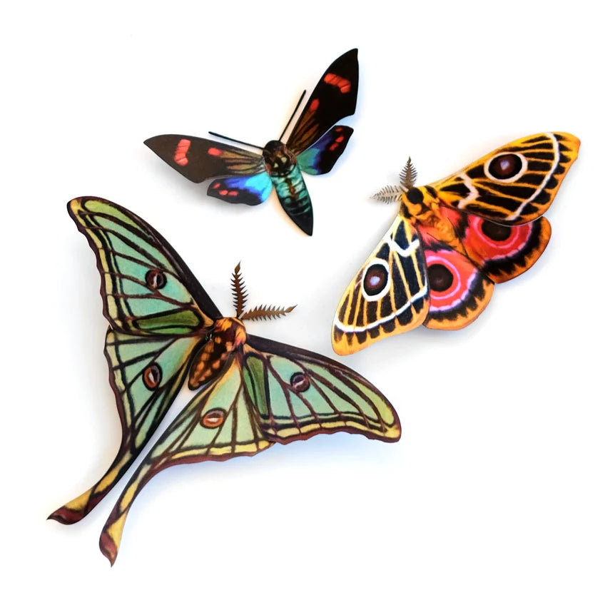 Fine Paper Specimens