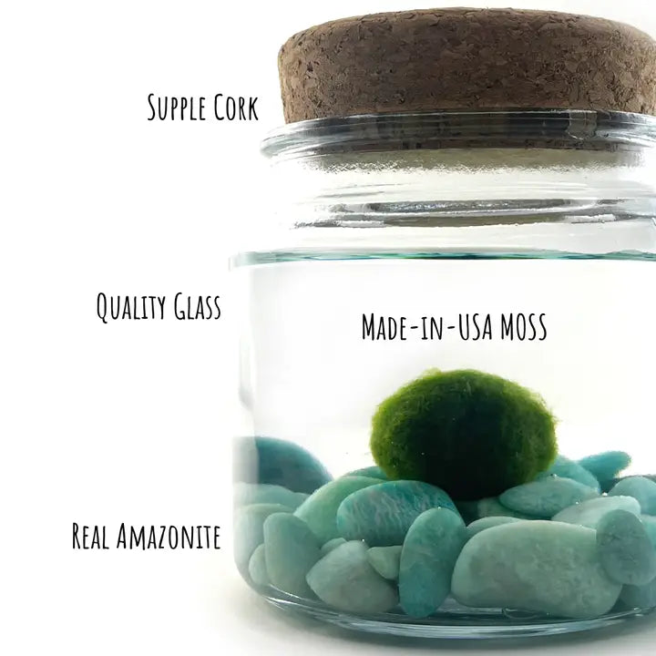 Moss Ball - Large