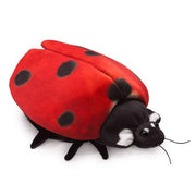 Folkmanis High Quality Comfortable Puppets Play Pretend (Lady Bug Life Cycle)