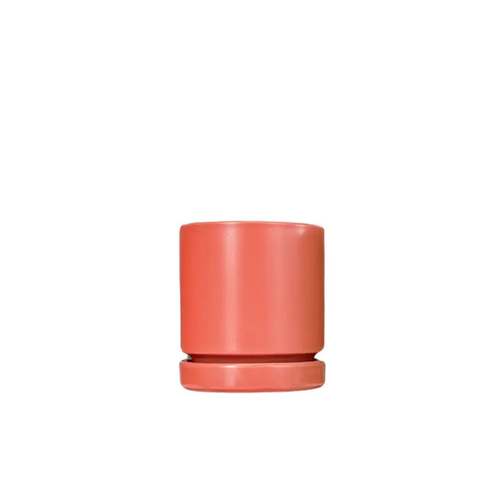 6.5" Gemstone Pot - with Water Saucer