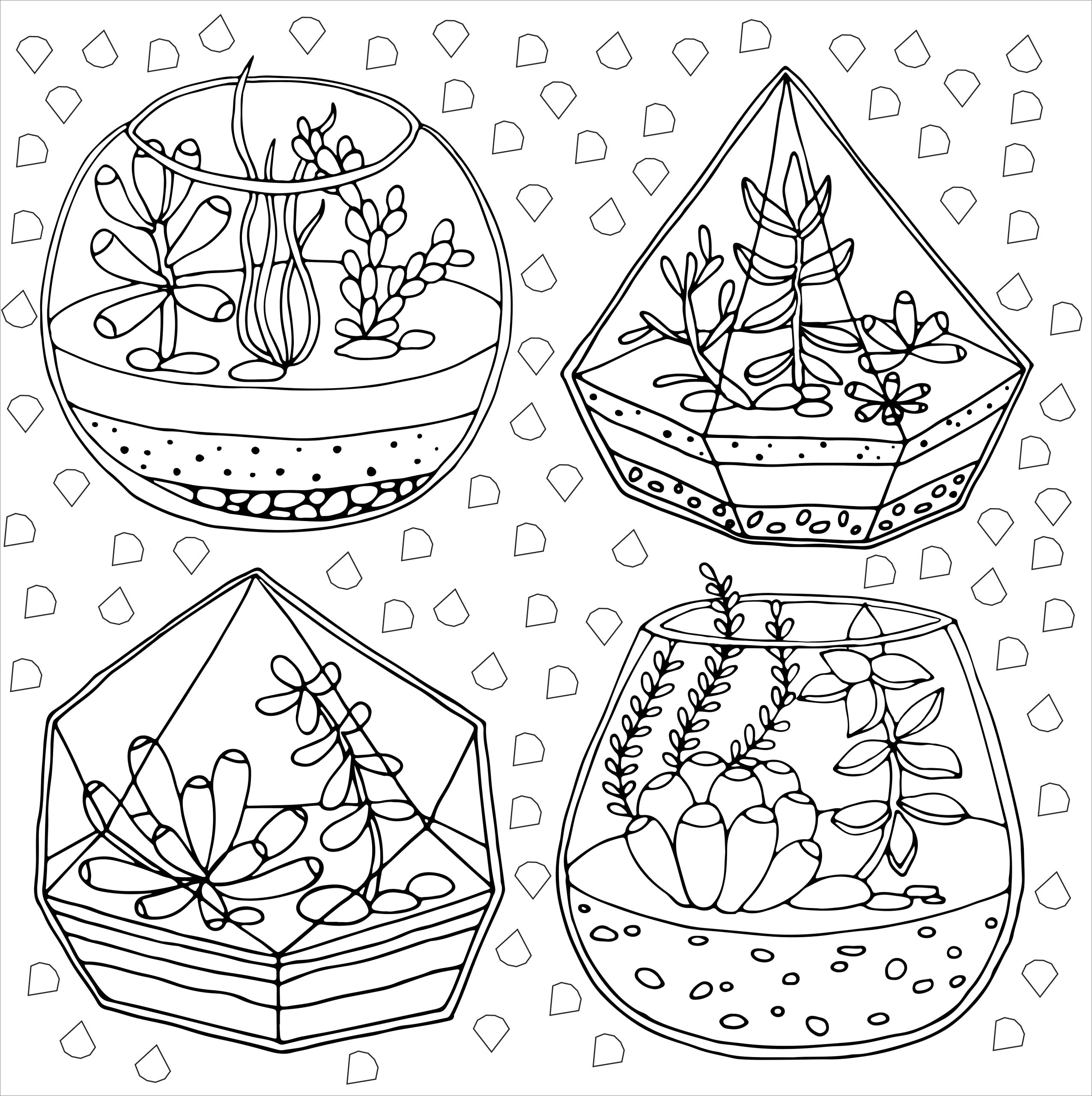 Artist's Adult Coloring Book Succulents by Homeportonline