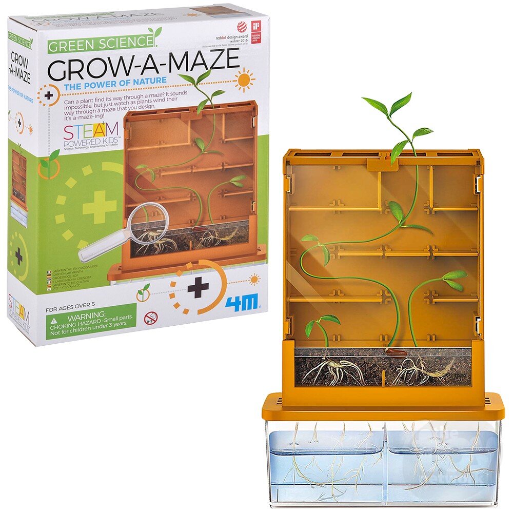 4M Green Science Kit Grow-A-Maze by Homeportonline