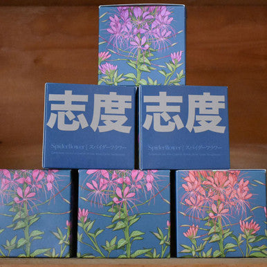 Shido Candle
