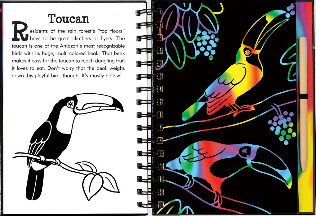 Scratch And Sketch Trace Along Activity Book Rainforest by Homeportonline
