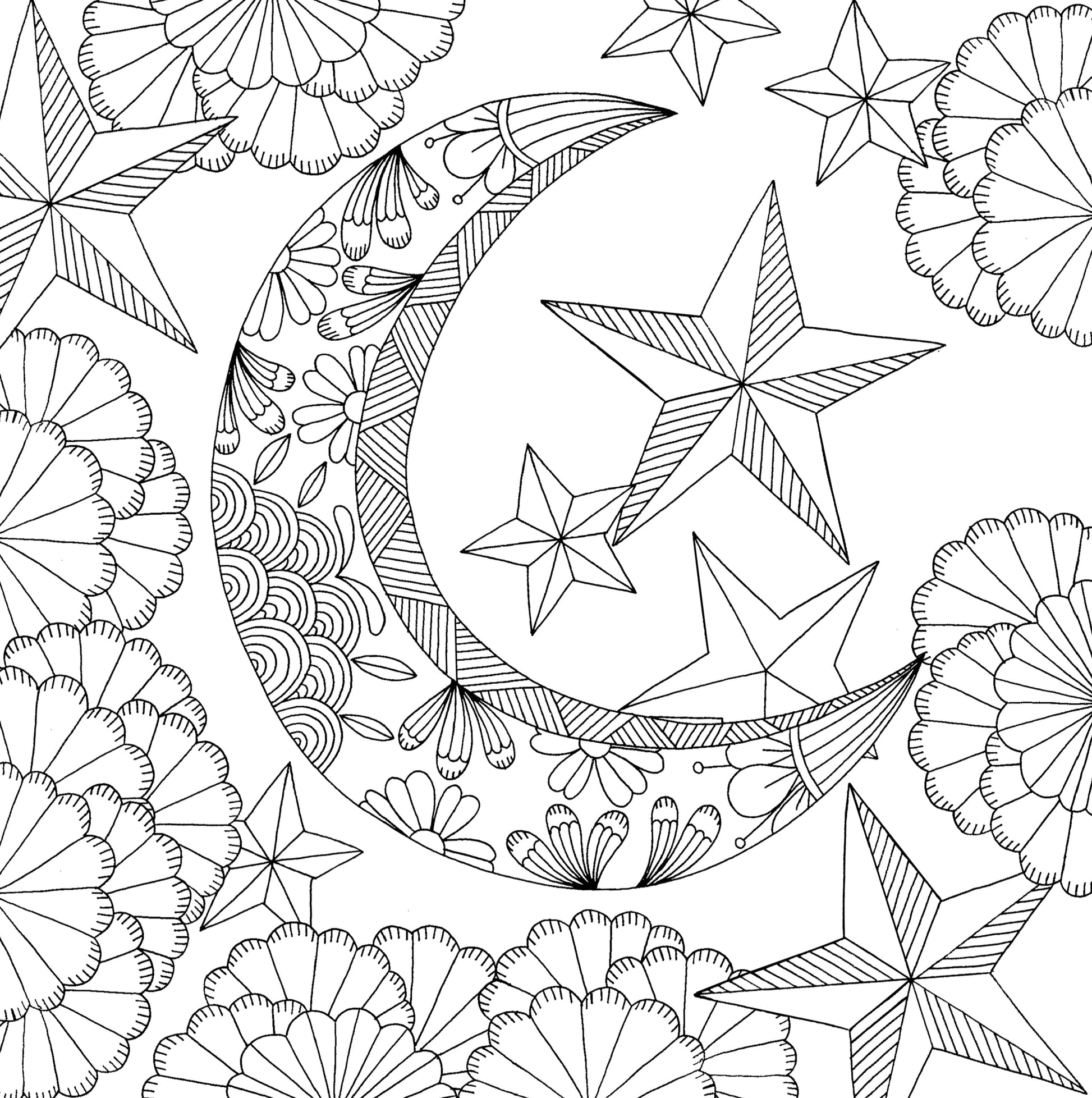 Artist's Adult Coloring Book Follow Your Dreams by Homeportonline