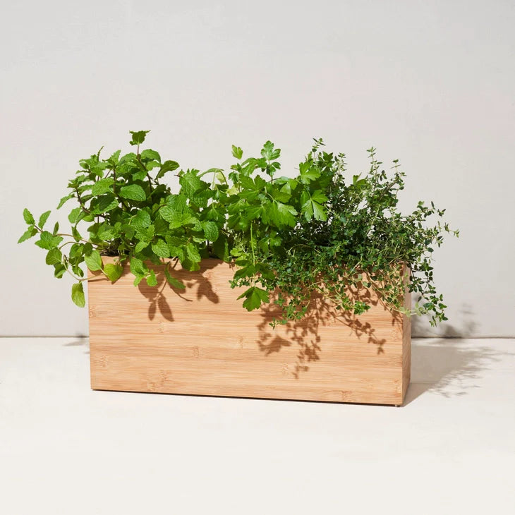 Hydroplanter - Smart by Wild Lark