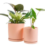 12.5"  Gemstone Cylinder Pots w/ Water Saucers