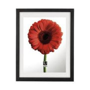 Document Float Frame 8.5x10.5 up to 11x14 Black by Homeportonline