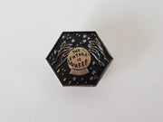 The Future is Queer Pin