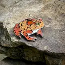 Sipsey Wilder Pins