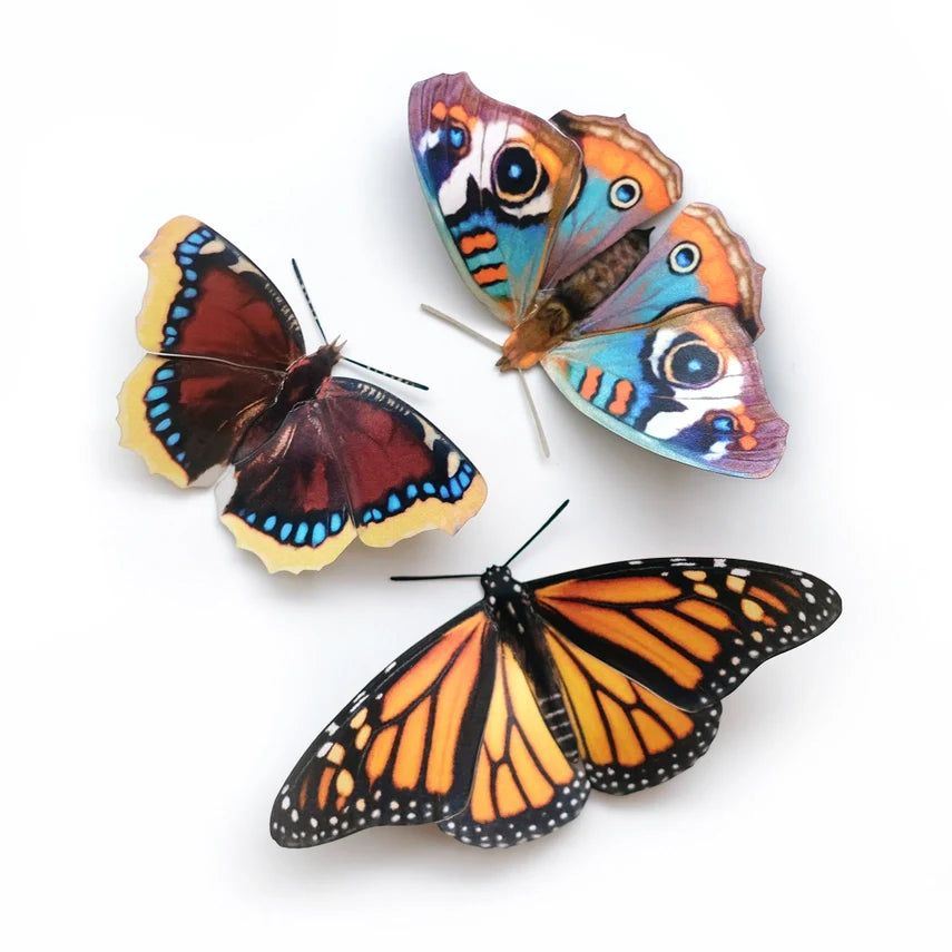 Fine Paper Specimens