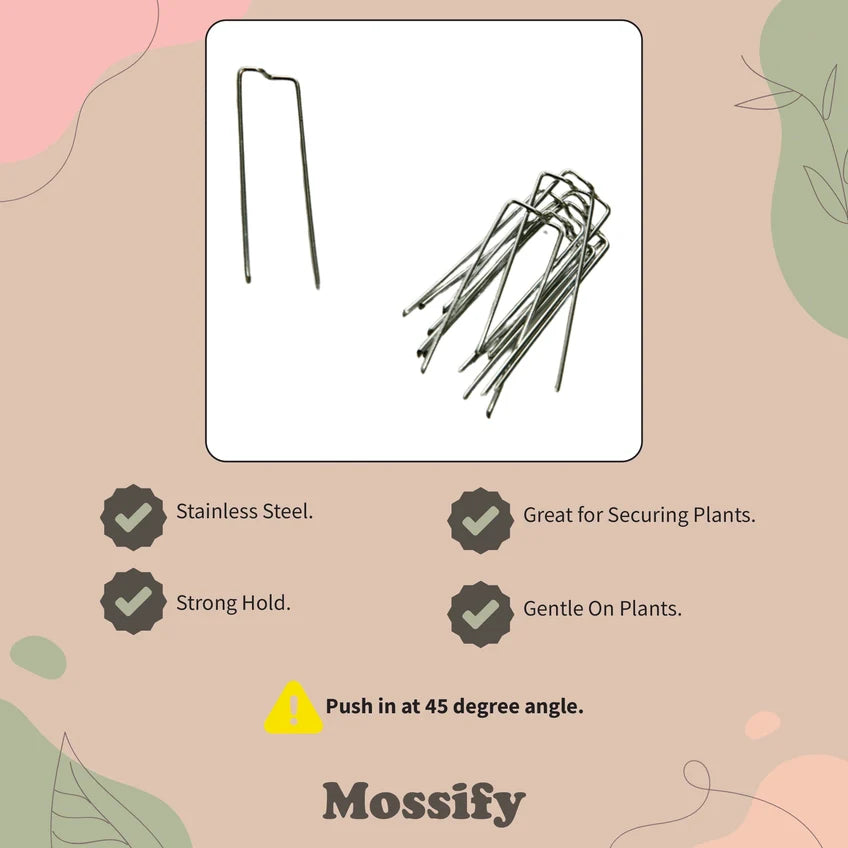 Floral Pins - Greening Pins - Pins For Moss Poles