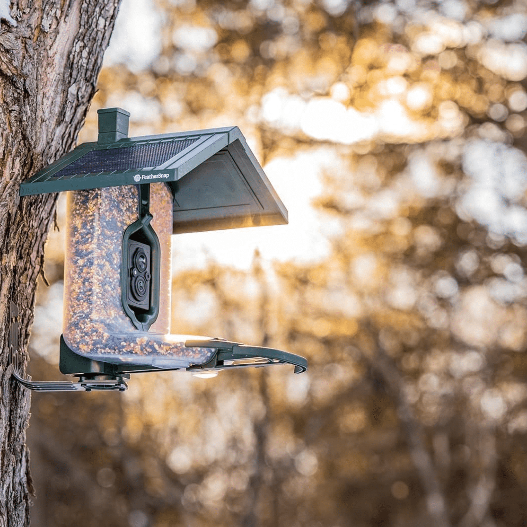 FeatherSnap Scout WiFi Solar Powered Smart Bird Feeder - Green by Lenny's Shoe & Apparel