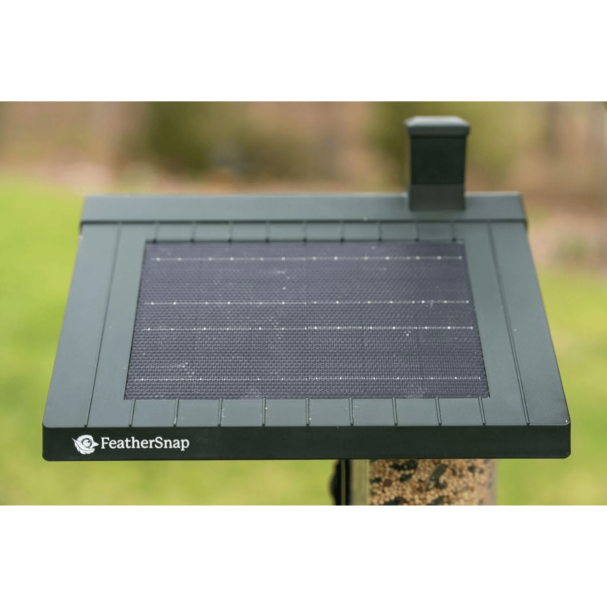 FeatherSnap Scout WiFi Solar Powered Smart Bird Feeder - Green by Lenny's Shoe & Apparel