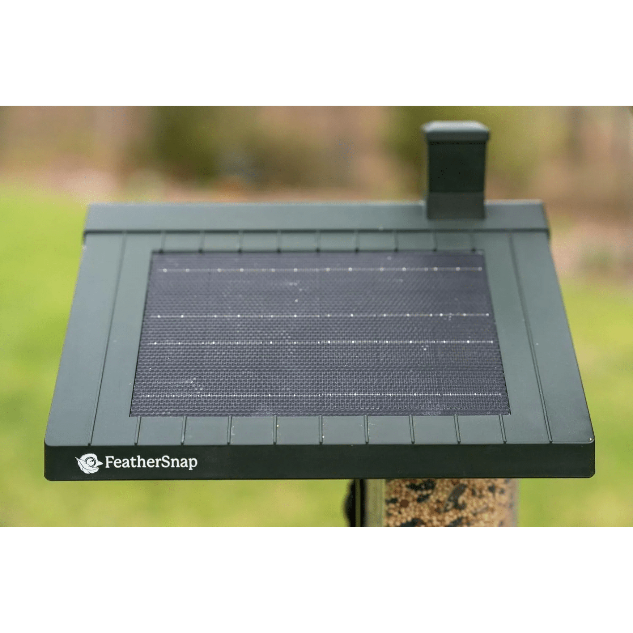 FeatherSnap Scout WiFi Solar Powered Smart Bird Feeder - Green by Lenny's Shoe & Apparel