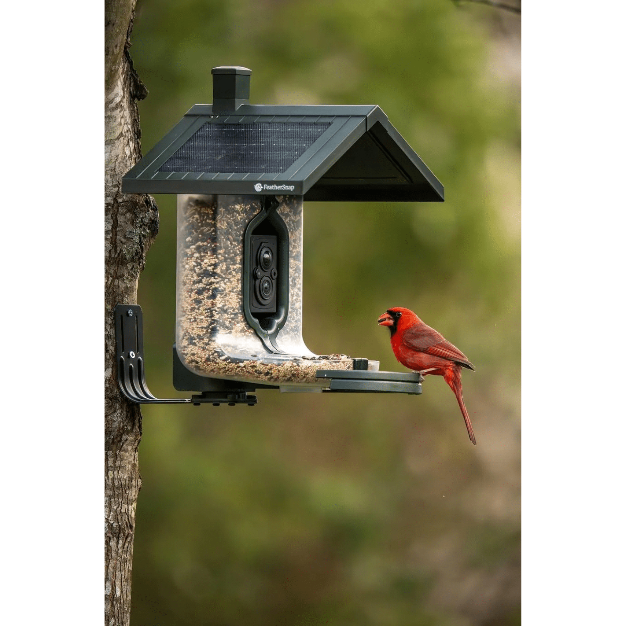 FeatherSnap Scout WiFi Solar Powered Smart Bird Feeder - Green by Lenny's Shoe & Apparel