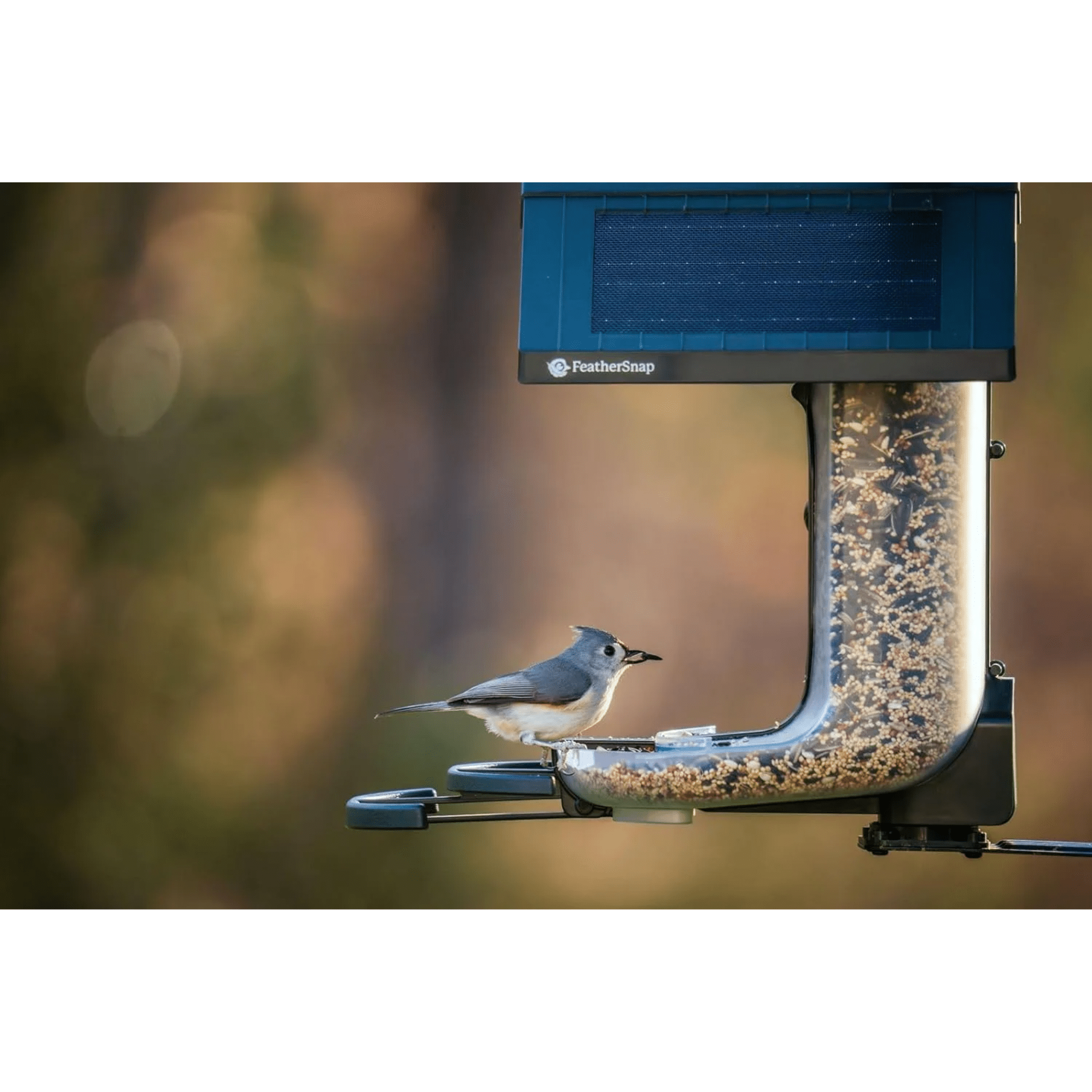 FeatherSnap Scout WiFi Solar Powered Smart Bird Feeder - Green by Lenny's Shoe & Apparel