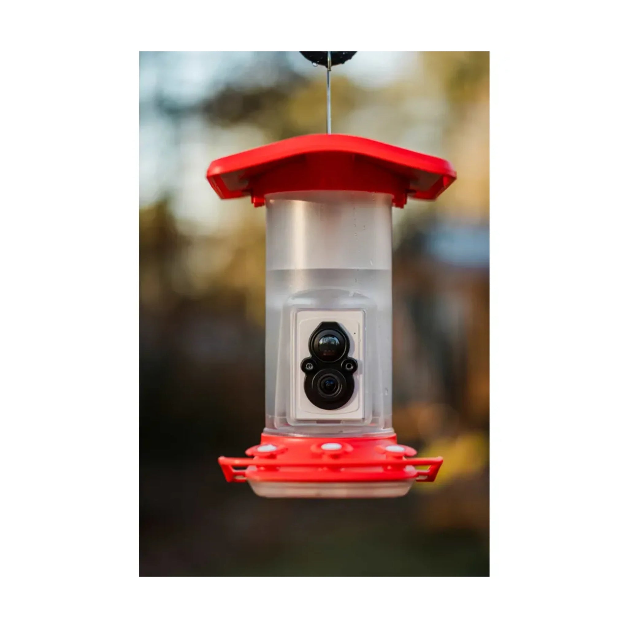 FeatherSnap Smart Hummingbird Feeder - Red by Lenny's Shoe & Apparel