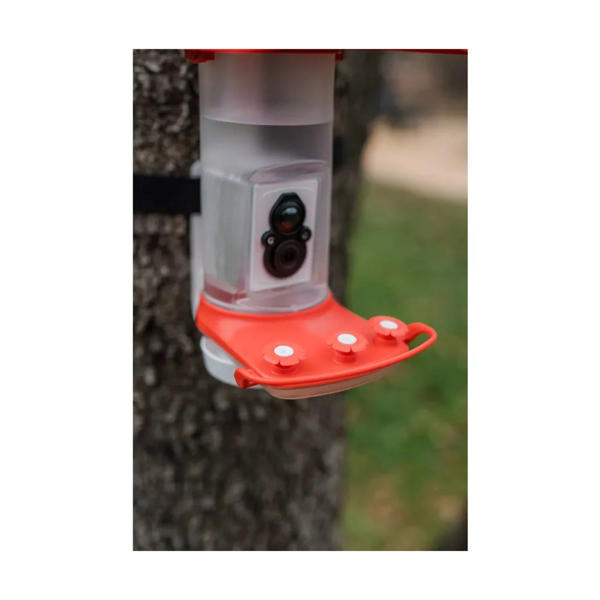 FeatherSnap Smart Hummingbird Feeder - Red by Lenny's Shoe & Apparel