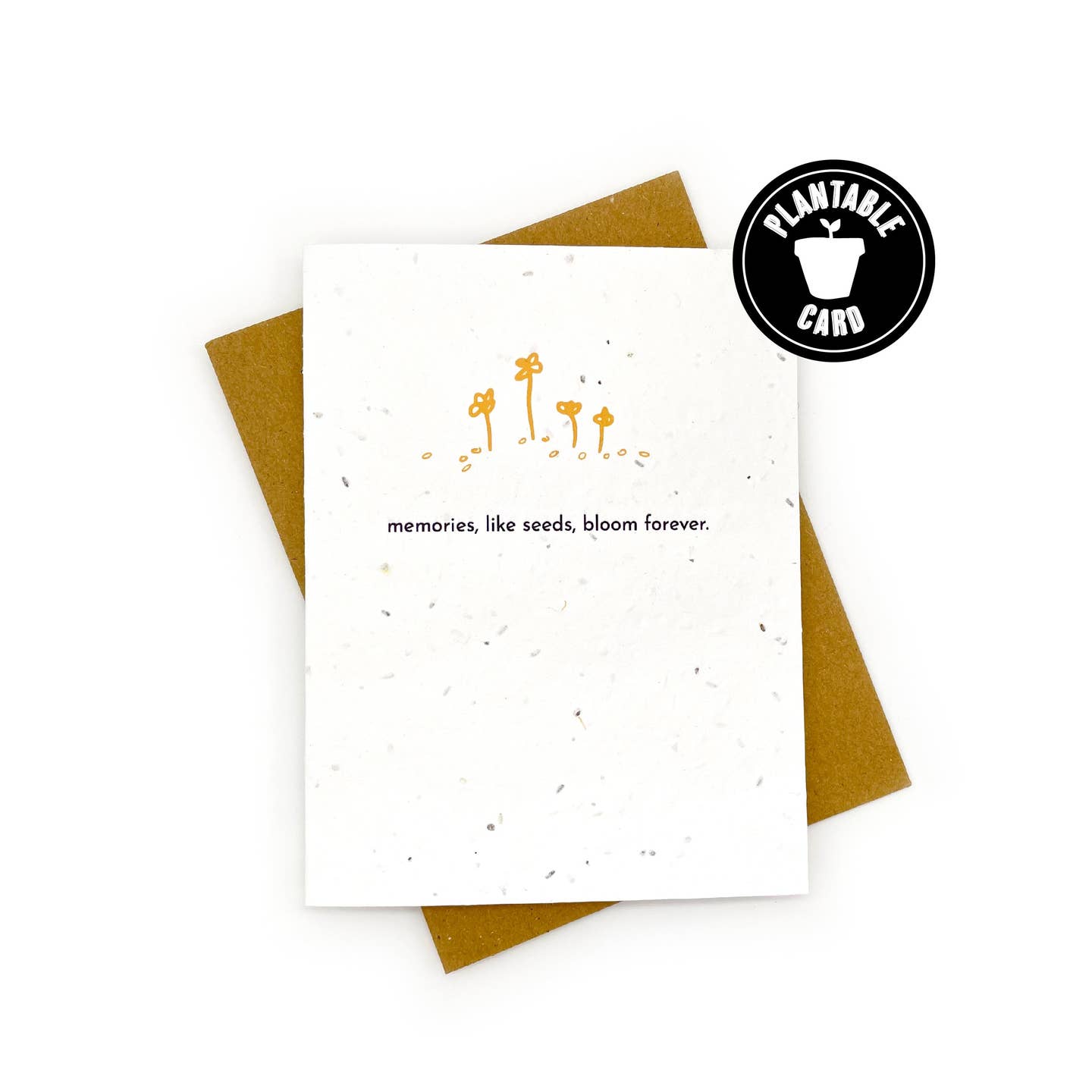 Plantable Greeting Cards - Cato & Company