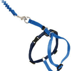 Cat Harness Premier Kitty Come With Me - Medium Blue by Homeportonline