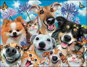 Notion - Pet Smile Birthday Card