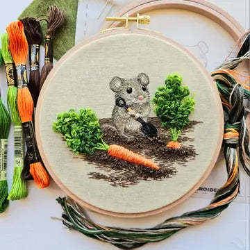 Hand Embroidery Kit