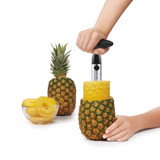 Stainless Steel Pineapple Slicer by Kiss the Cook