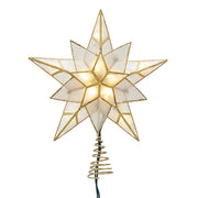 9.84" 10L 5-Point Gold Glittered Capiz Star Treetop