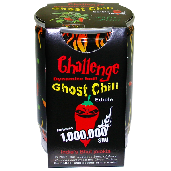 Ghost Chili Pepper Plant Can by Homeportonline
