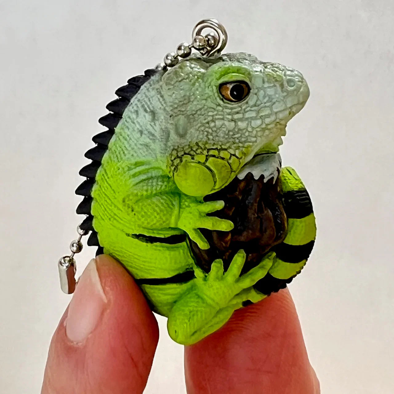 Gashapon Capsule For All Ages Iguana & Gecko Charm (Sold As An Individual Capsule) by Homeportonline