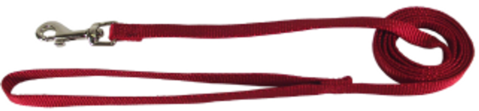 Dog Lead- Red 6ft 3/8in by Homeportonline