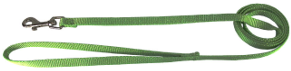 Hamilton - Dog Lead 3/8" x 6', Lime by Homeportonline